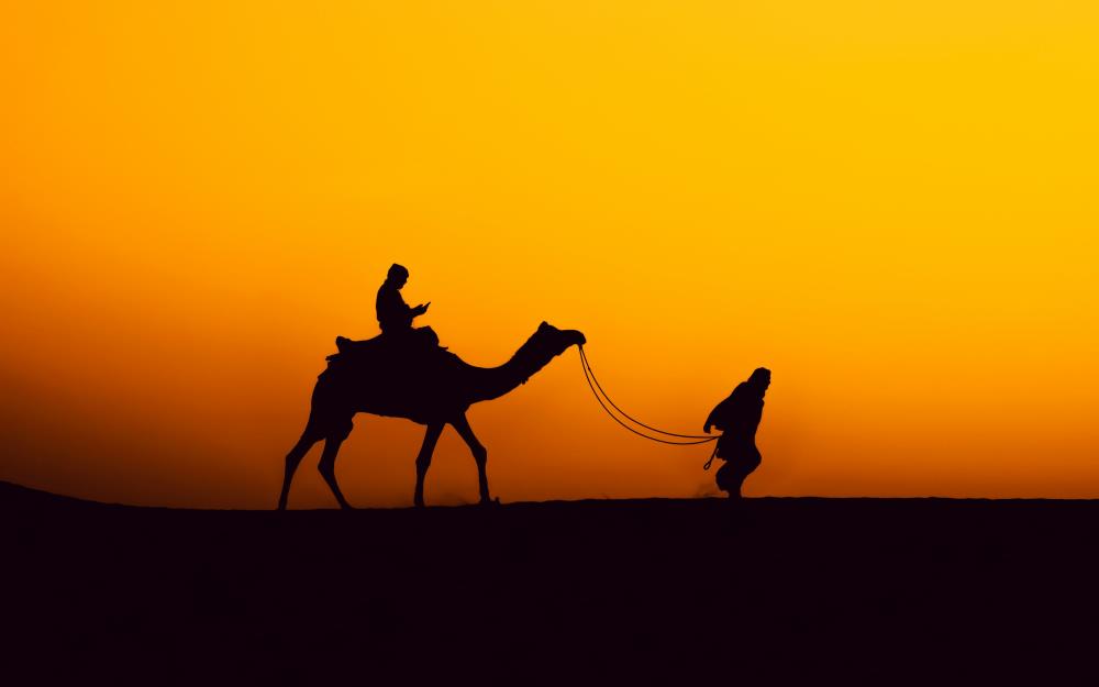 Rajasthan Tour